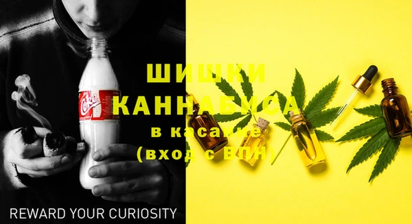 гидра Ельня