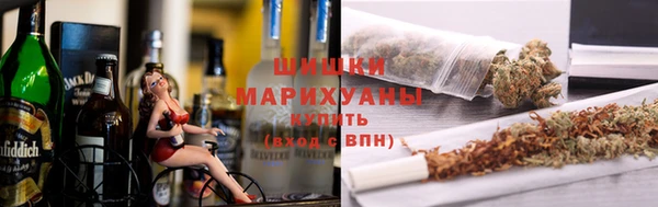 гидра Ельня