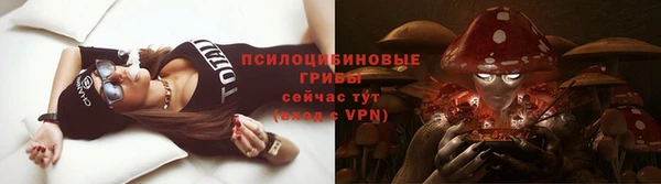 прущие крисы Дмитровск