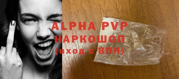 гидра Ельня
