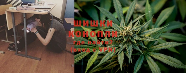 гидра Ельня