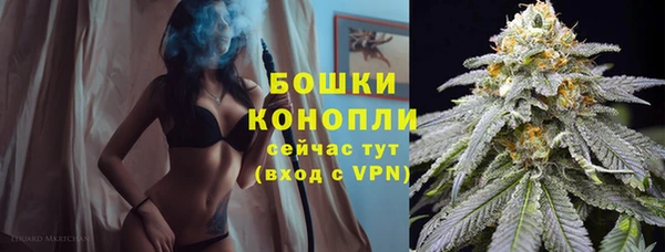 ешки Елизово