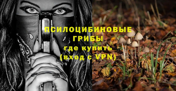 прущий лед Дмитров