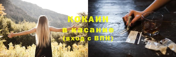 гидра Ельня