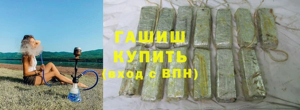 гидра Ельня