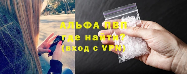 гидра Ельня