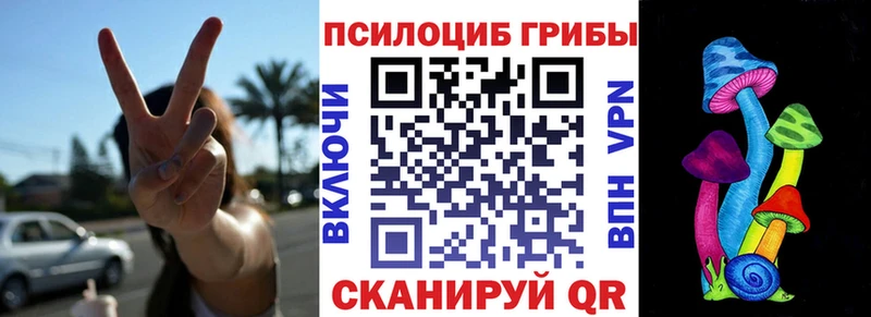 Галлюциногенные грибы Psilocybine cubensis Братск